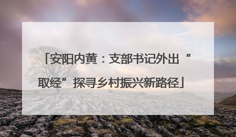 安阳内黄：支部书记外出“取经”探寻乡村振兴新路径