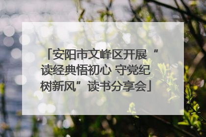 安阳市文峰区开展“读经典悟初心 守党纪树新风”读书分享会