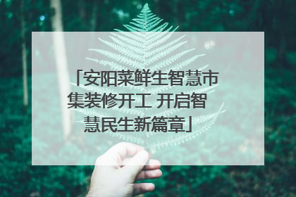 安阳菜鲜生智慧市集装修开工 开启智慧民生新篇章