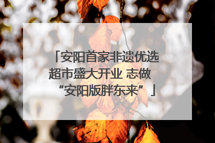安阳首家非遗优选超市盛大开业 志做“安阳版胖东来”