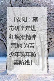 安阳：禁毒研学走进红旗渠精神营地 为青少年筑牢防毒防线