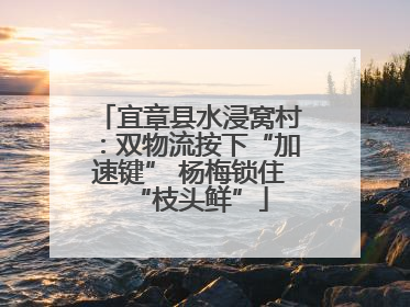 宜章县水浸窝村：双物流按下“加速键” 杨梅锁住“枝头鲜”