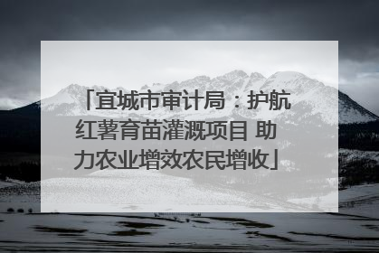 宜城市审计局：护航红薯育苗灌溉项目 助力农业增效农民增收
