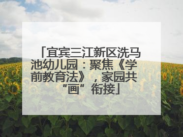 宜宾三江新区洗马池幼儿园：聚焦《学前教育法》，家园共“画”衔接