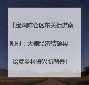 宝鸡陈仓区东关街道南阳村：大棚经济结硕果 绘就乡村振兴新图景