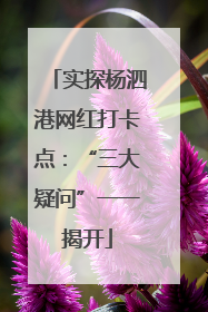 实探杨泗港网红打卡点：“三大疑问”一一揭开