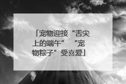 宠物迎接“舌尖上的端午” “宠物粽子”受喜爱