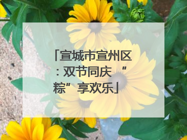 宣城市宣州区：双节同庆 “粽”享欢乐