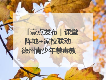 壹点发布｜课堂阵地+家校联动 德州青少年禁毒教育全覆盖