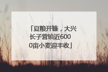 夏粮开镰，大兴长子营镇近6000亩小麦迎丰收