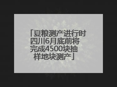 夏粮测产进行时 四川6月底前将完成4500块抽样地块测产