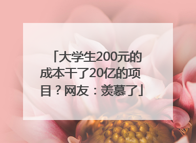 大学生200元的成本干了20亿的项目？网友：羡慕了