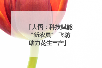 大悟：科技赋能“新农具” 飞防助力花生丰产