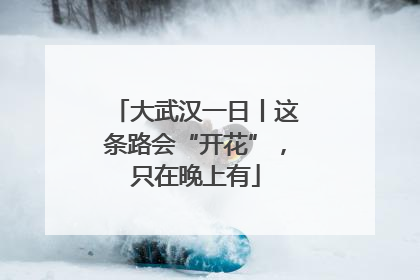 大武汉一日丨这条路会“开花”，只在晚上有