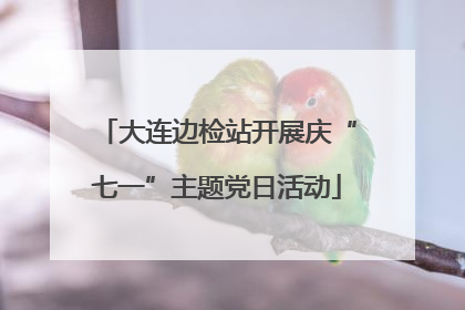 大连边检站开展庆“七一”主题党日活动