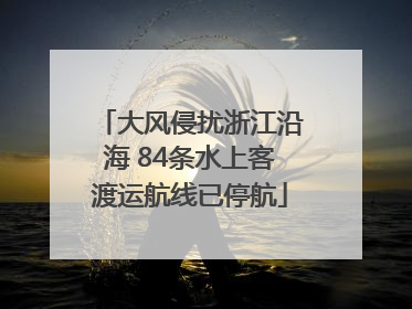 大风侵扰浙江沿海 84条水上客渡运航线已停航