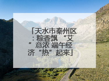 天水市秦州区：粽香飘 “艾”意浓 端午经济“热”起来