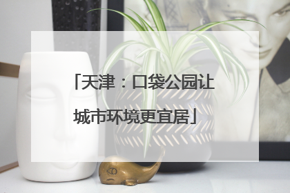 天津：口袋公园让城市环境更宜居