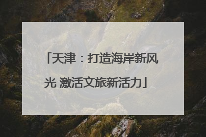 天津：打造海岸新风光 激活文旅新活力