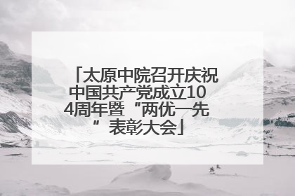 太原中院召开庆祝中国共产党成立104周年暨“两优一先”表彰大会