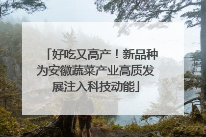 好吃又高产！新品种为安徽蔬菜产业高质发展注入科技动能