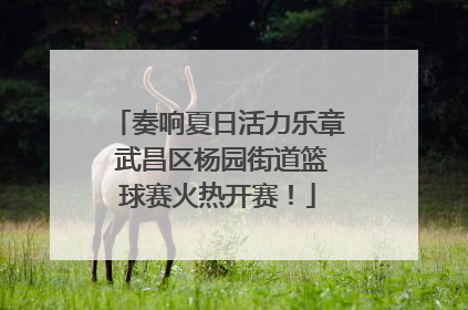 奏响夏日活力乐章 武昌区杨园街道篮球赛火热开赛！
