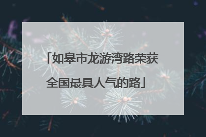 如皋市龙游湾路荣获全国最具人气的路