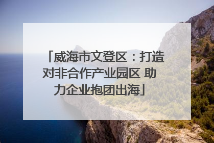 威海市文登区：打造对非合作产业园区 助力企业抱团出海