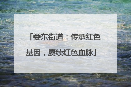 娄东街道：传承红色基因，赓续红色血脉