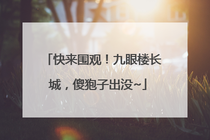 快来围观！九眼楼长城，傻狍子出没~