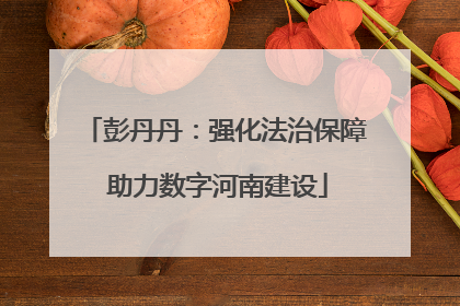 彭丹丹：强化法治保障 助力数字河南建设