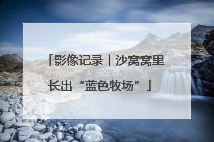 影像记录丨沙窝窝里长出“蓝色牧场”