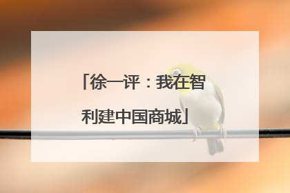 徐一评：我在智利建中国商城