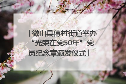微山县傅村街道举办“光荣在党50年”党员纪念章颁发仪式