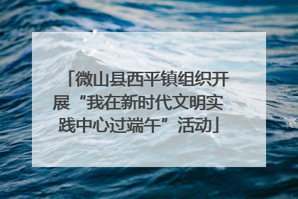微山县西平镇组织开展“我在新时代文明实践中心过端午”活动