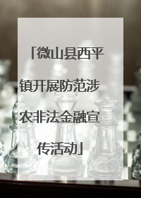 微山县西平镇开展防范涉农非法金融宣传活动