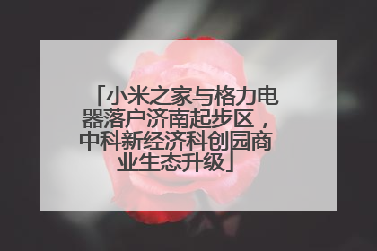 小米之家与格力电器落户济南起步区，中科新经济科创园商业生态升级