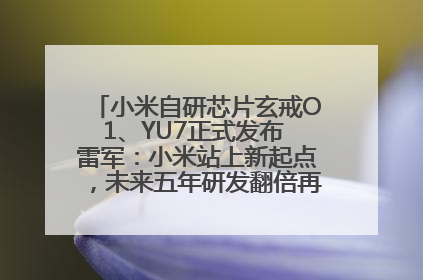 小米自研芯片玄戒O1、YU7正式发布 雷军：小米站上新起点，未来五年研发翻倍再投2000亿元