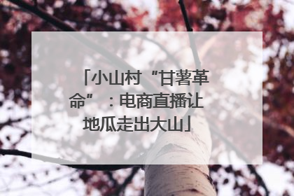 小山村“甘薯革命”：电商直播让地瓜走出大山