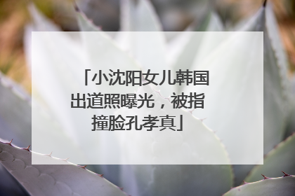 小沈阳女儿韩国出道照曝光，被指撞脸孔孝真