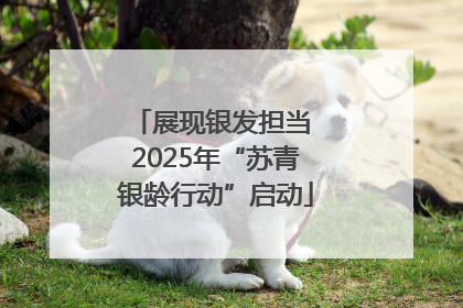 展现银发担当 2025年“苏青银龄行动”启动