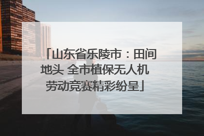 山东省乐陵市：田间地头 全市植保无人机劳动竞赛精彩纷呈