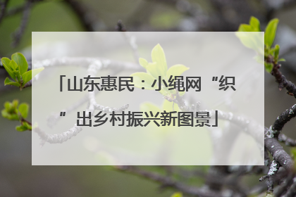 山东惠民：小绳网“织”出乡村振兴新图景