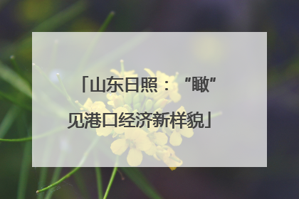 山东日照：“瞰”见港口经济新样貌