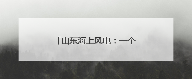 山东海上风电：一个项目落地一条产业链
