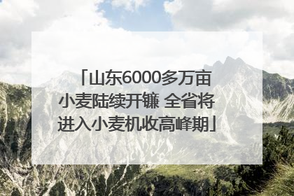 山东6000多万亩小麦陆续开镰 全省将进入小麦机收高峰期