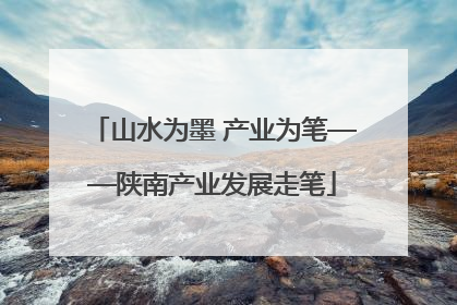 山水为墨 产业为笔——陕南产业发展走笔