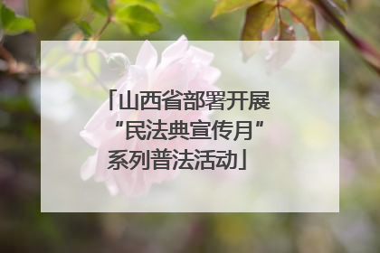 山西省部署开展“民法典宣传月”系列普法活动