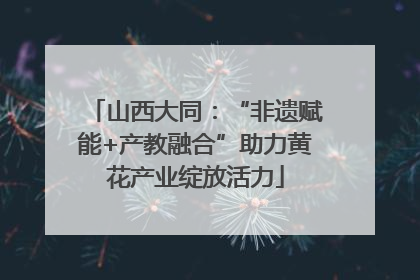 山西大同：“非遗赋能+产教融合”助力黄花产业绽放活力