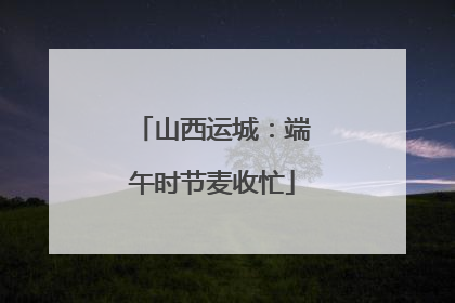 山西运城：端午时节麦收忙